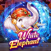 White Elephant
